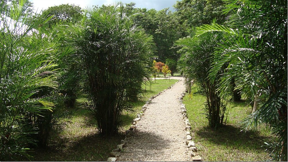 Maya Zac Peten Jungle Lodge El Remate Eksteriør bilde
