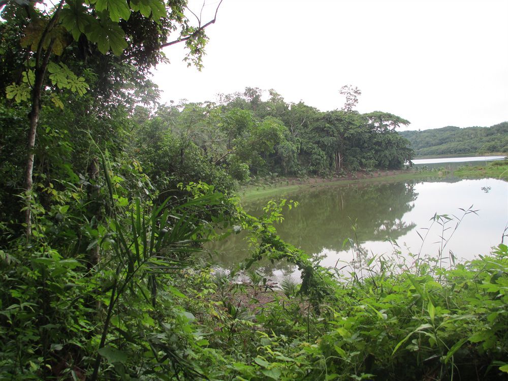 Maya Zac Peten Jungle Lodge El Remate Eksteriør bilde